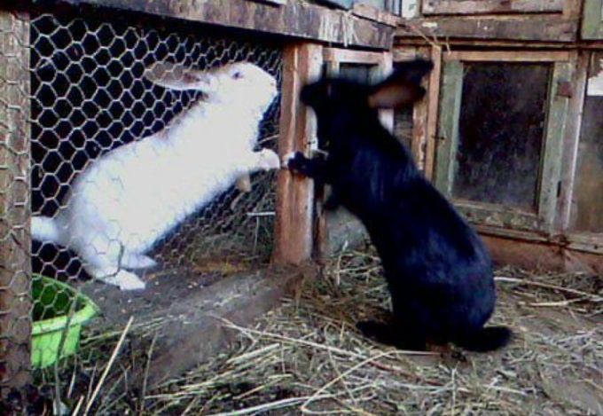 Super oferta noastră