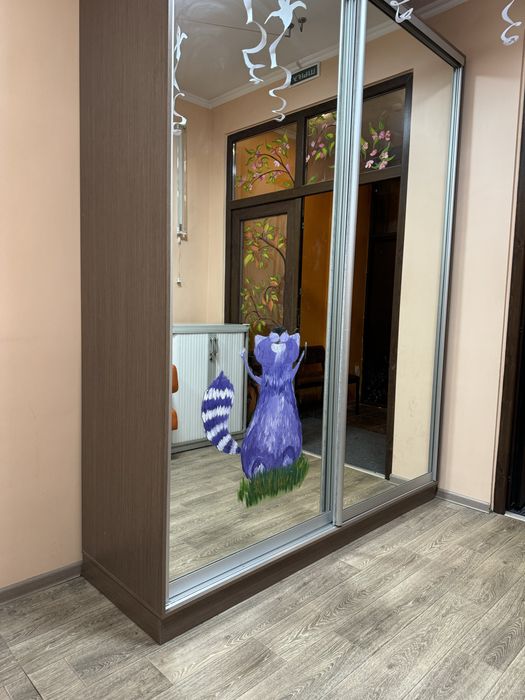 Шкаф-купе с зеркальными дверями