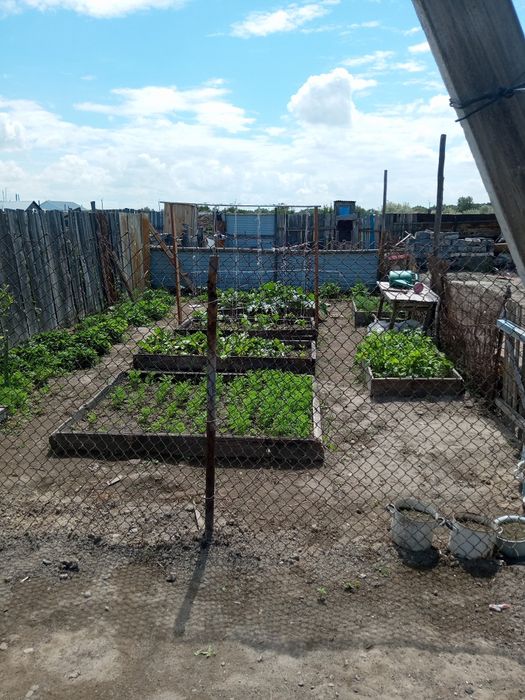 дом Озерки или продам