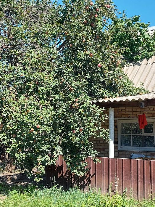 Продам дачу в районе Жулдыз