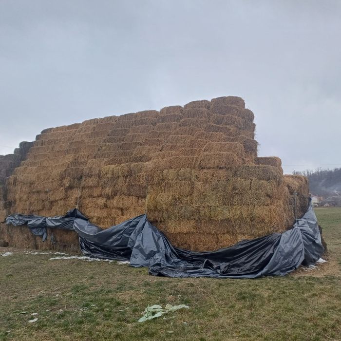 Vând baloti lucernă dreptunghiulari
