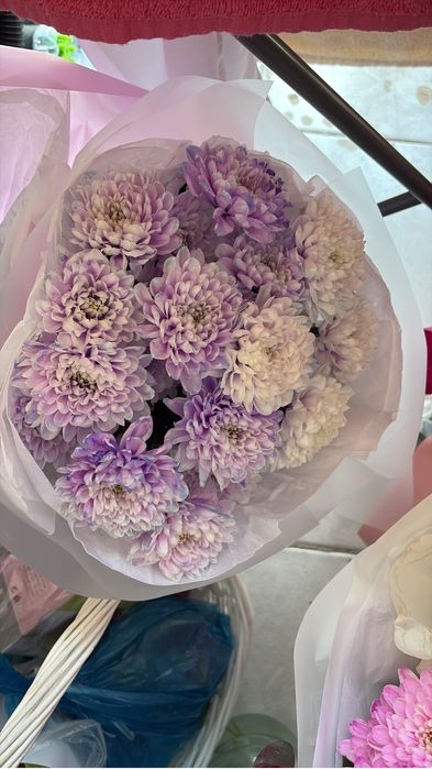 Продам цветы от 5-8 тысяч