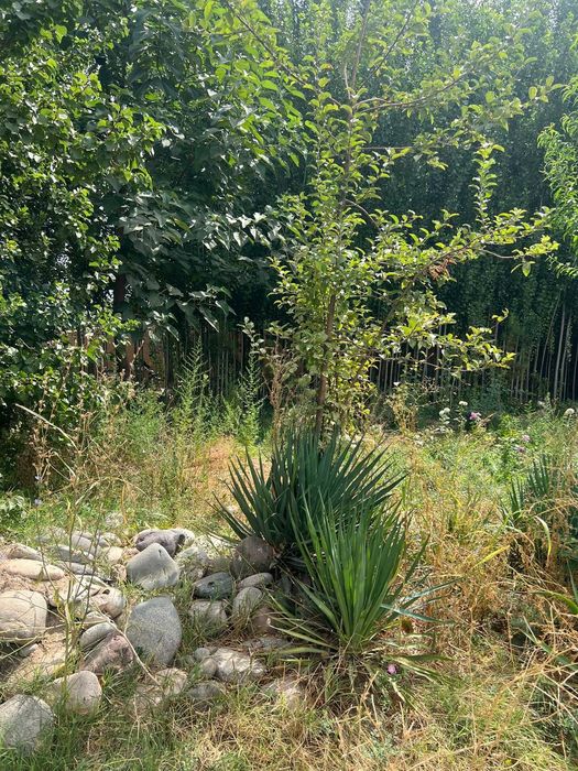 Шахардан 18 км узокликда Ер сотилади