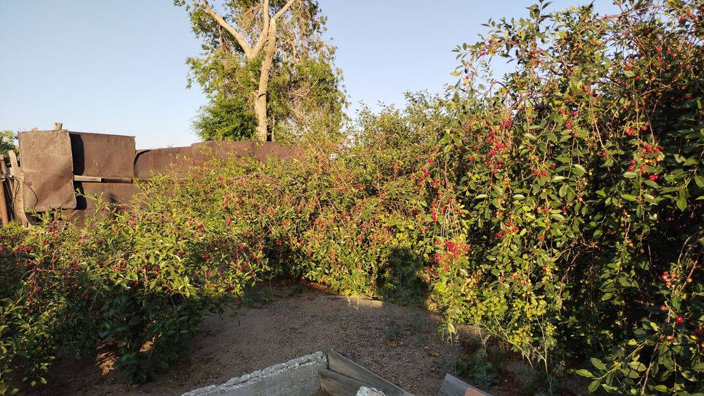 Продается дача 16,73 соток