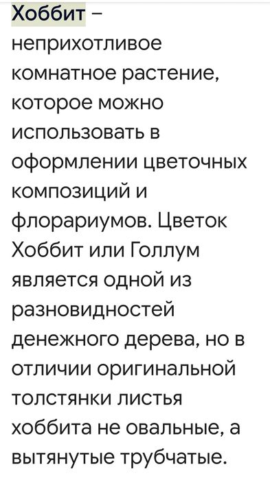 Комнатное растение Хоббит.Продаю.
