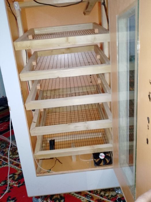 Инкубатир сатилади