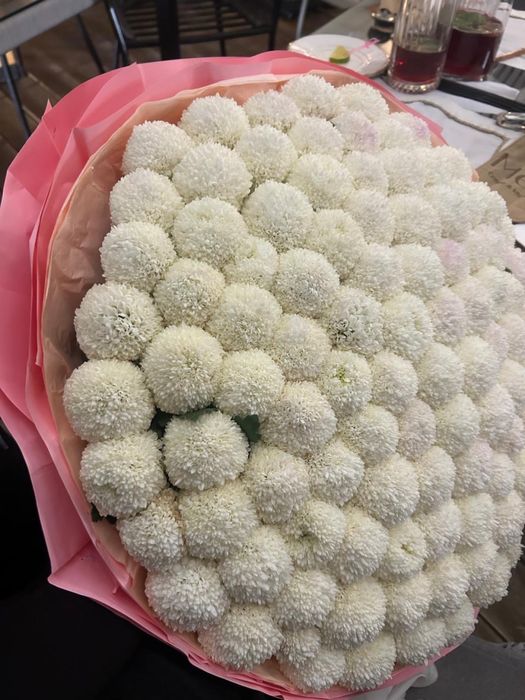 Цветы момоко 101 штука.