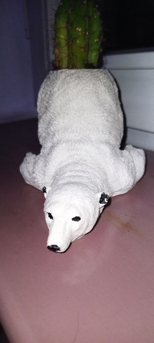 Горшок для кактусов.