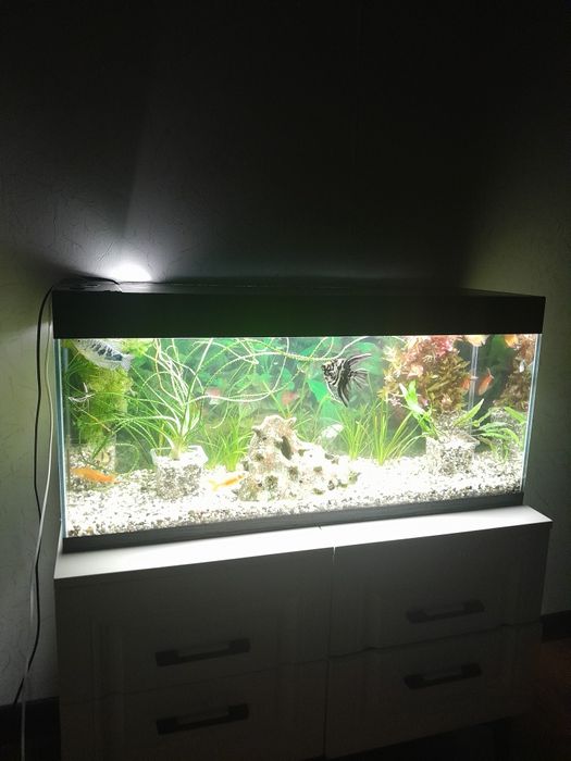 Продам новый аквариум