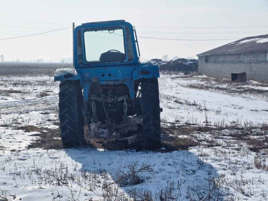 Готовый завод шампиньонов 6000соток