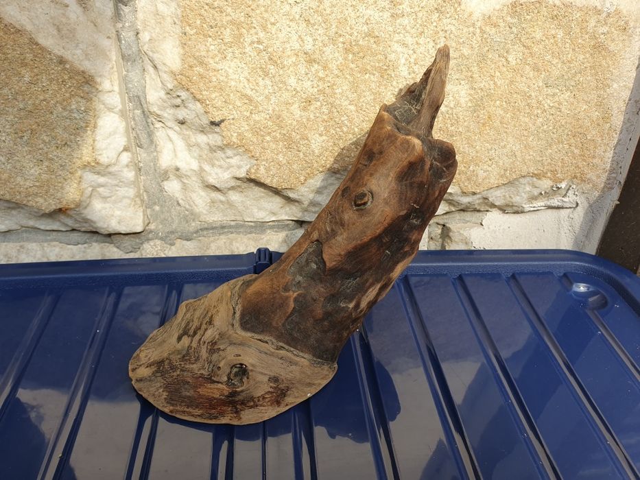 Декоративни корени