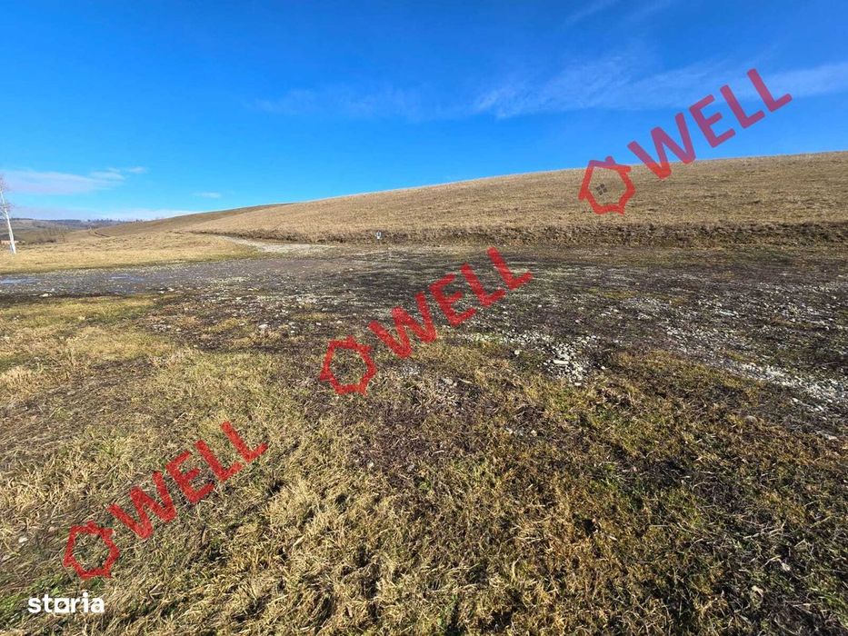 Teren intravilan de vânzare în Barcani!