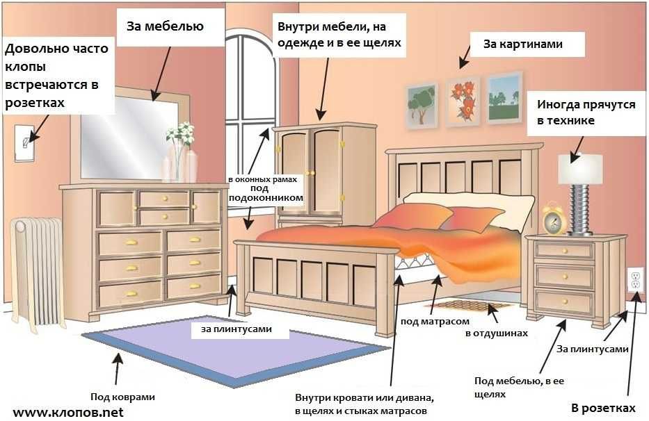 Уничтожение блох, клопов, тараканов.