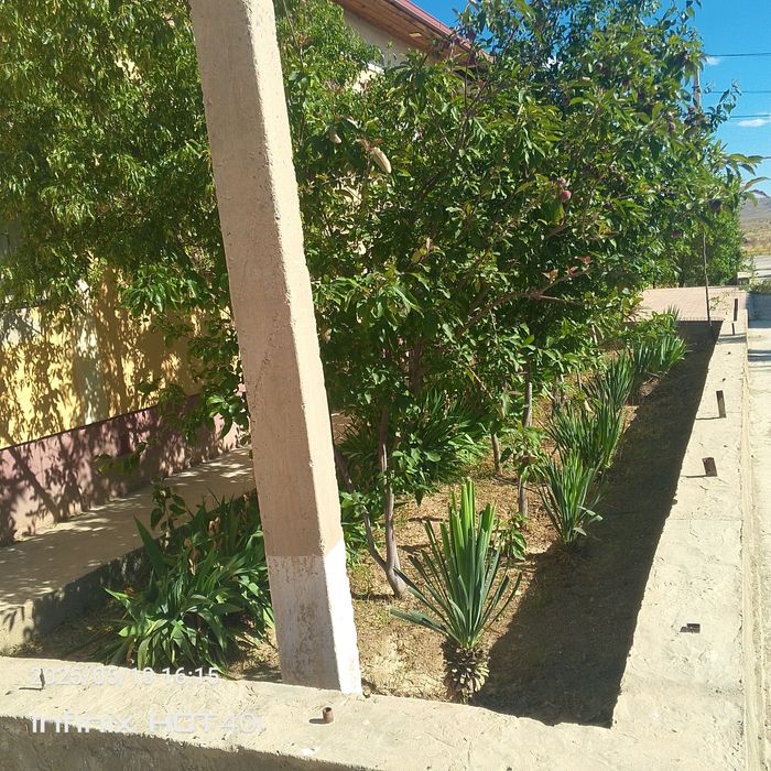 Katej srochna sotiladi ipotekaga xam buladi