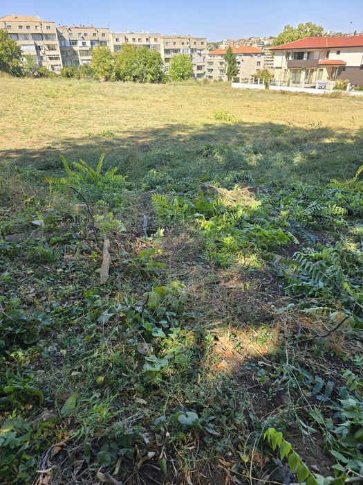 Продава се Парцел в Попово - 1233 кв.м за 0 €/кв.м - Снимка #4
