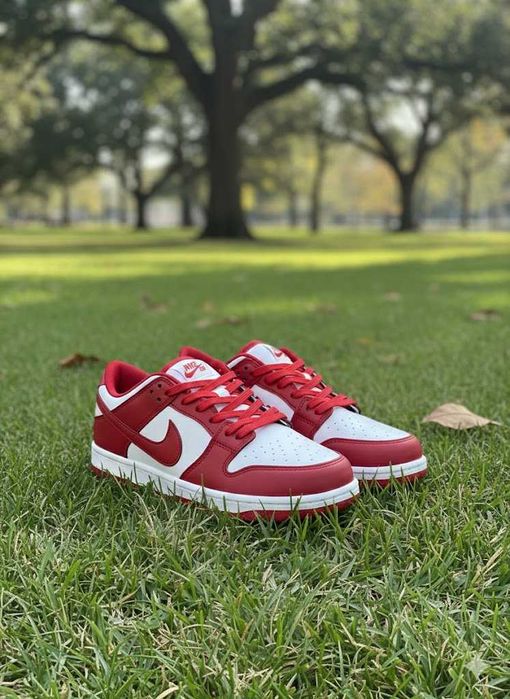 Adidasi Nike Dunk Red - Sneakersi Fete Baieti - Premium