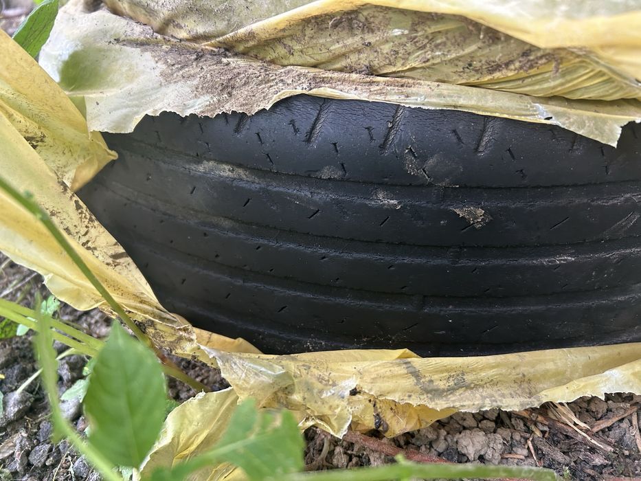 Продам летние шины