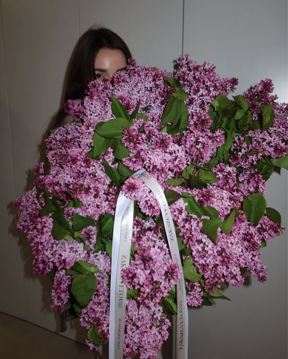 Продам Сирень свежый