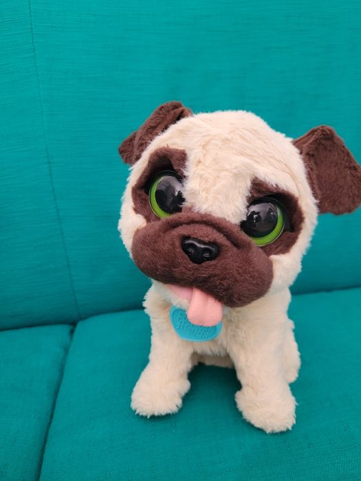 Plus interactiv Furreal catel