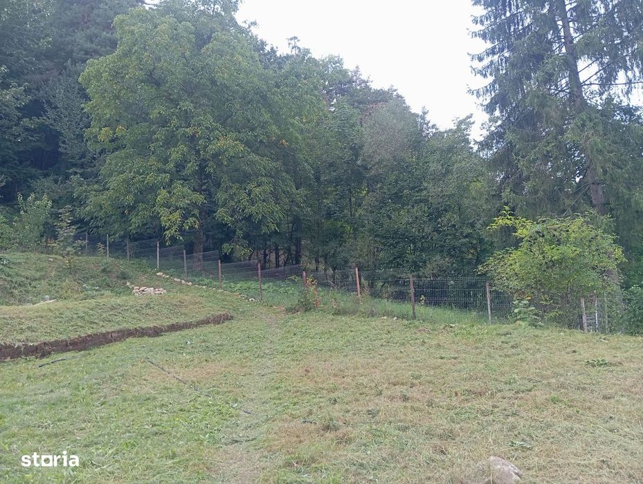 Refugiul tau de vacanță sau de locuit, în inima naturii