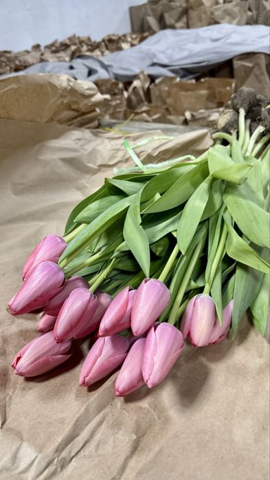 Тюльпаны доставка цветы