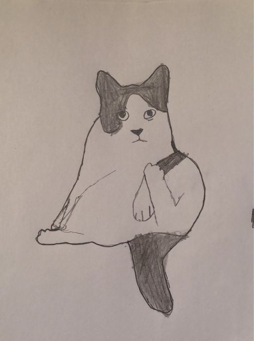 Рисунки питомцев