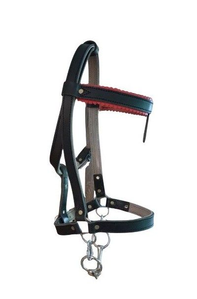 Юздечка, кантарма, поводи, юлар, палдъм, хамут  за кон