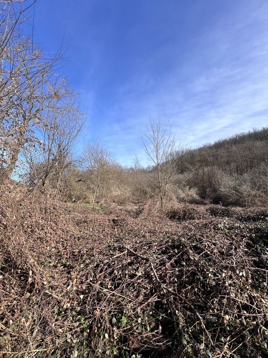 Conop teren intravilan