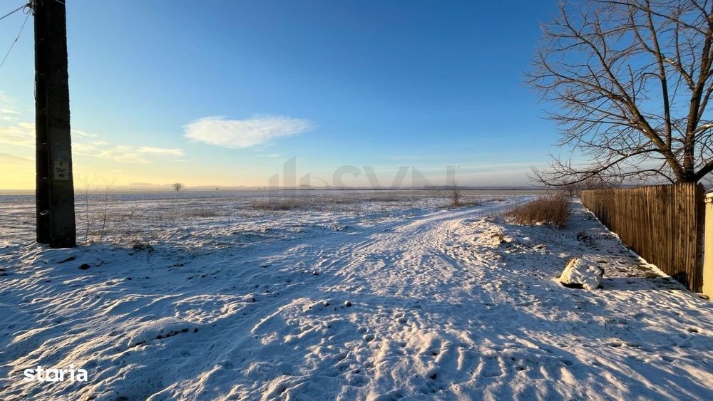 Teren intravilan lot de casa stradal Merii