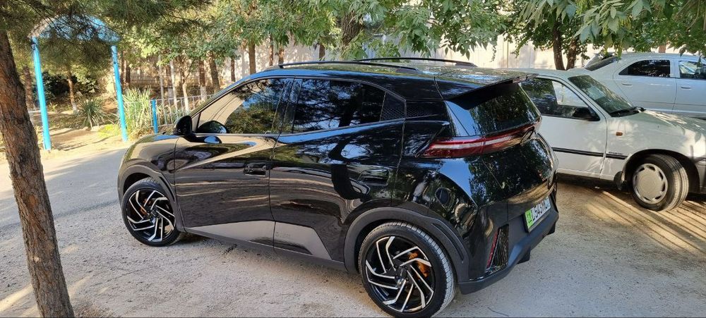 Byd seagull рейлинг shox