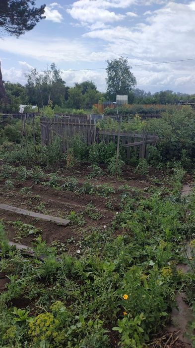 Дача СПП под телевышкой