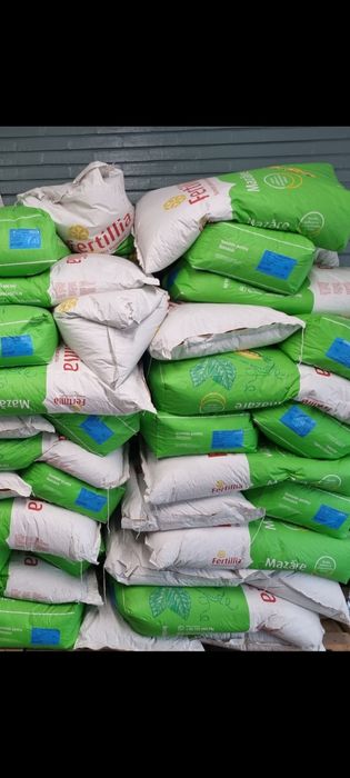 Sămânță mazare furajera Tip C1