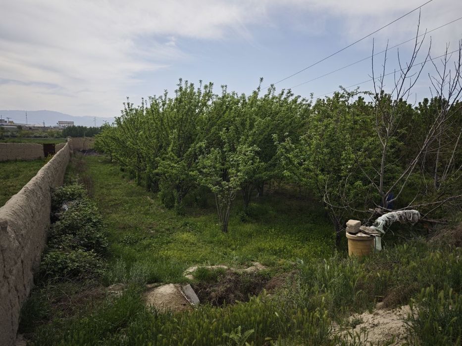 Samarqand viloyati Pastdargʻom tumanida Kamolot mahallasi. 57 maktab.