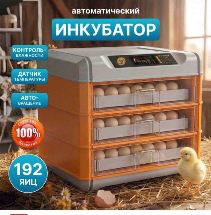 Инкубатор срочно