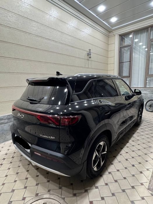 Byd Yuan Up 2025