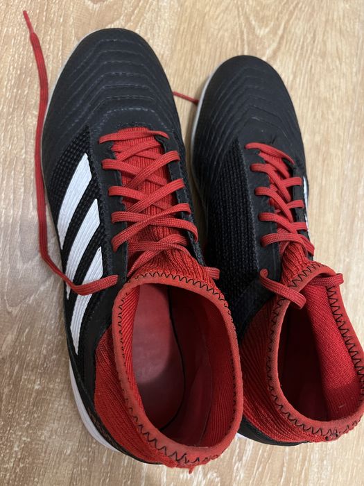 Сороконожки