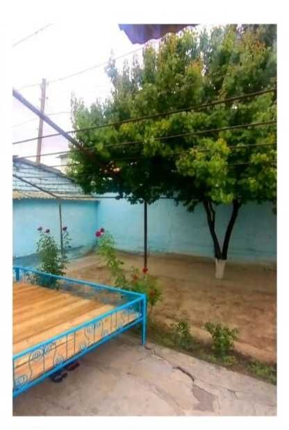 Hovli sotiladi tez fursatda!!!