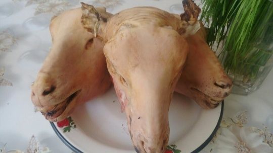 Бастары койдын Павлодар каласы