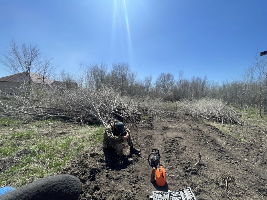 Отдам бесплатно спиленные деревья