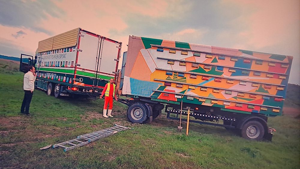 Vand miere de poliflora si salcam