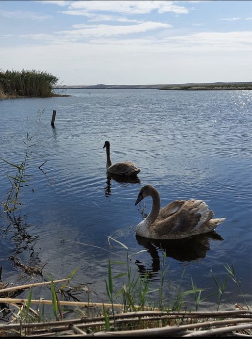 Balta pescuit/ferma piscicola 198 hectare,cu active imobile