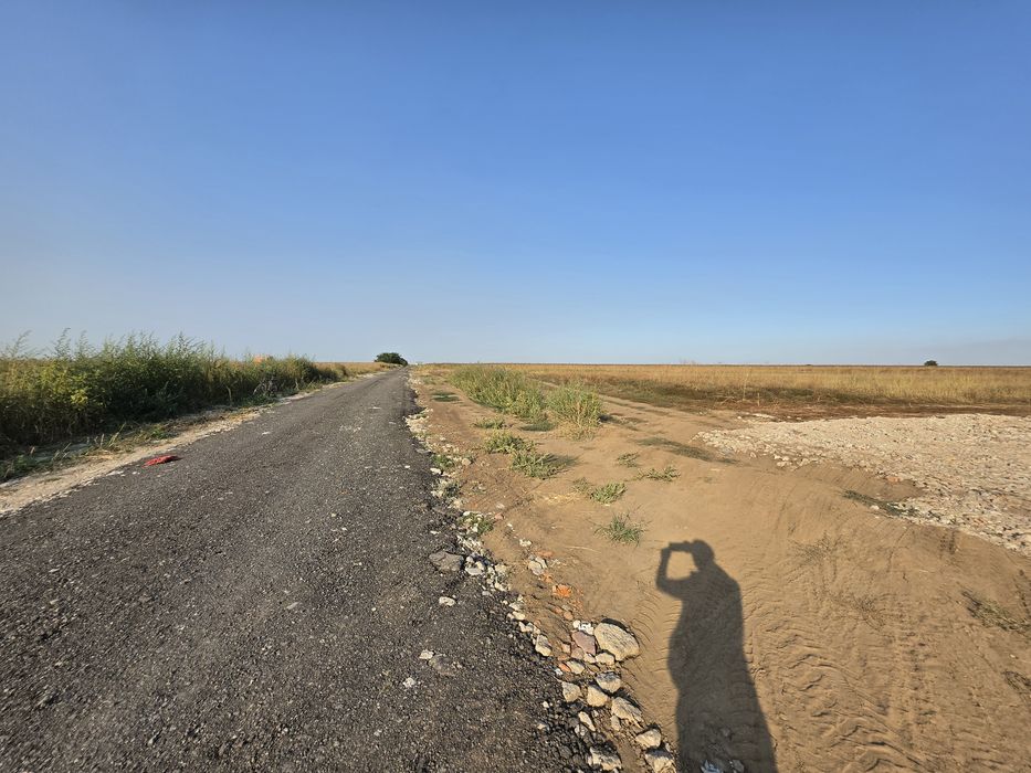 Loturi  440m intravilan com Berceni utilități