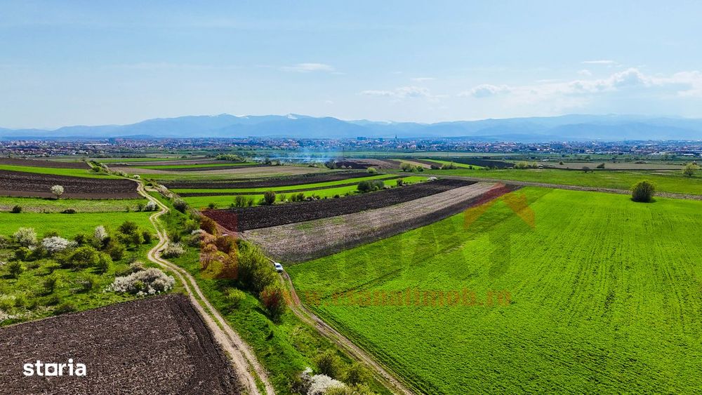 Teren 3.000 mp cu panorama superba asupra Sibiului |SkyVideo