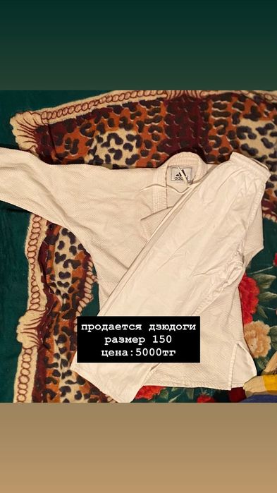 Дзюдоги от Чемпионов