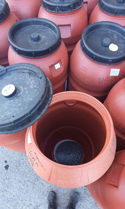 Дебелостенни бидони