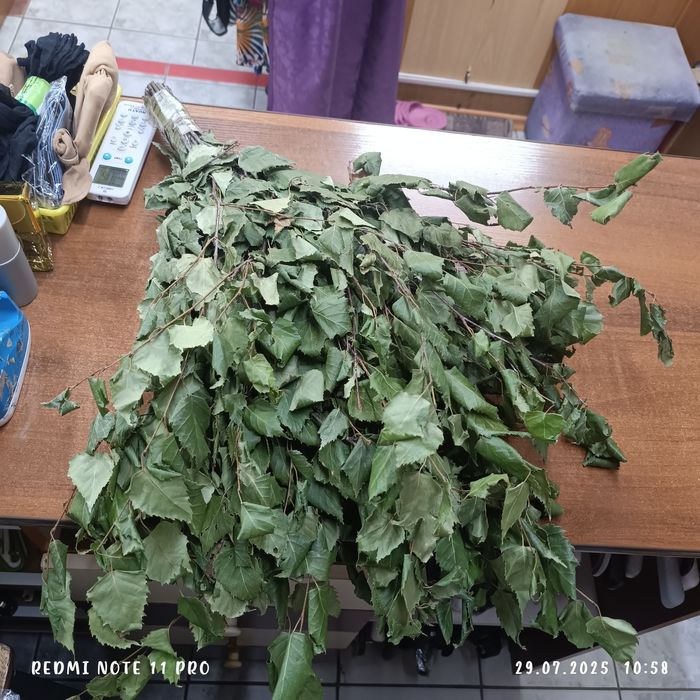 Продам берёзовые веники