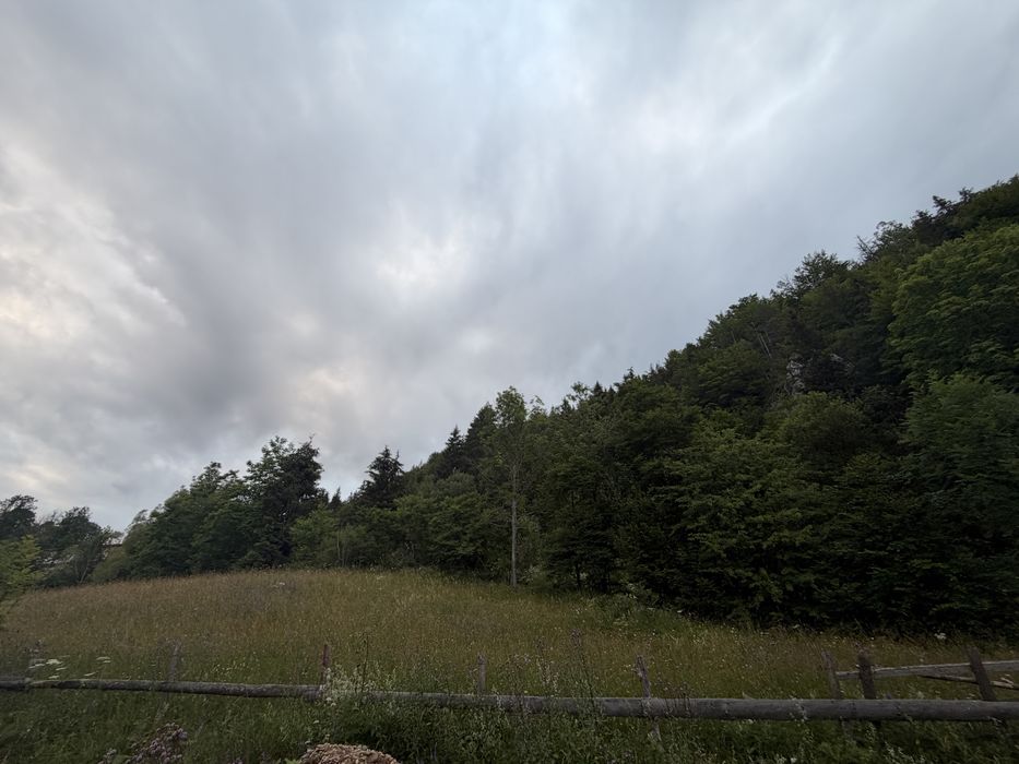 Teren de vanzare in Muntii Apuseni