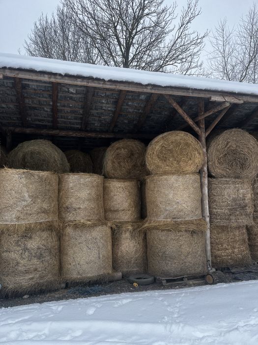 Baloti rotunzi 120/120