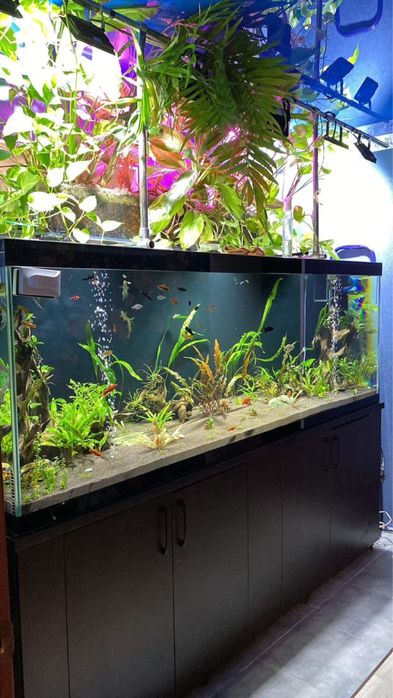 Продам аквариум на 1000 л
