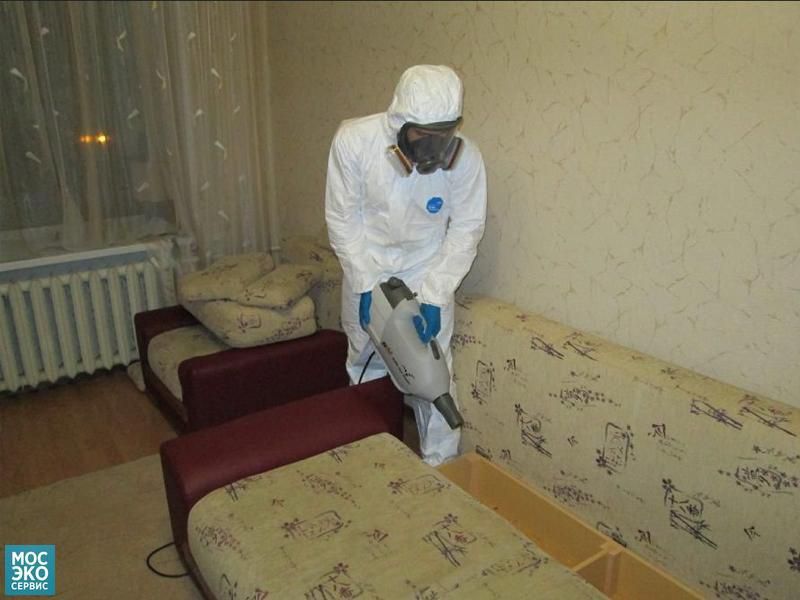 Дезинфекция hamma Hashoratlarga Qarshi